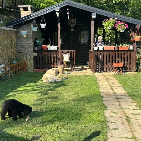 Vakantiehuis Skakavac *